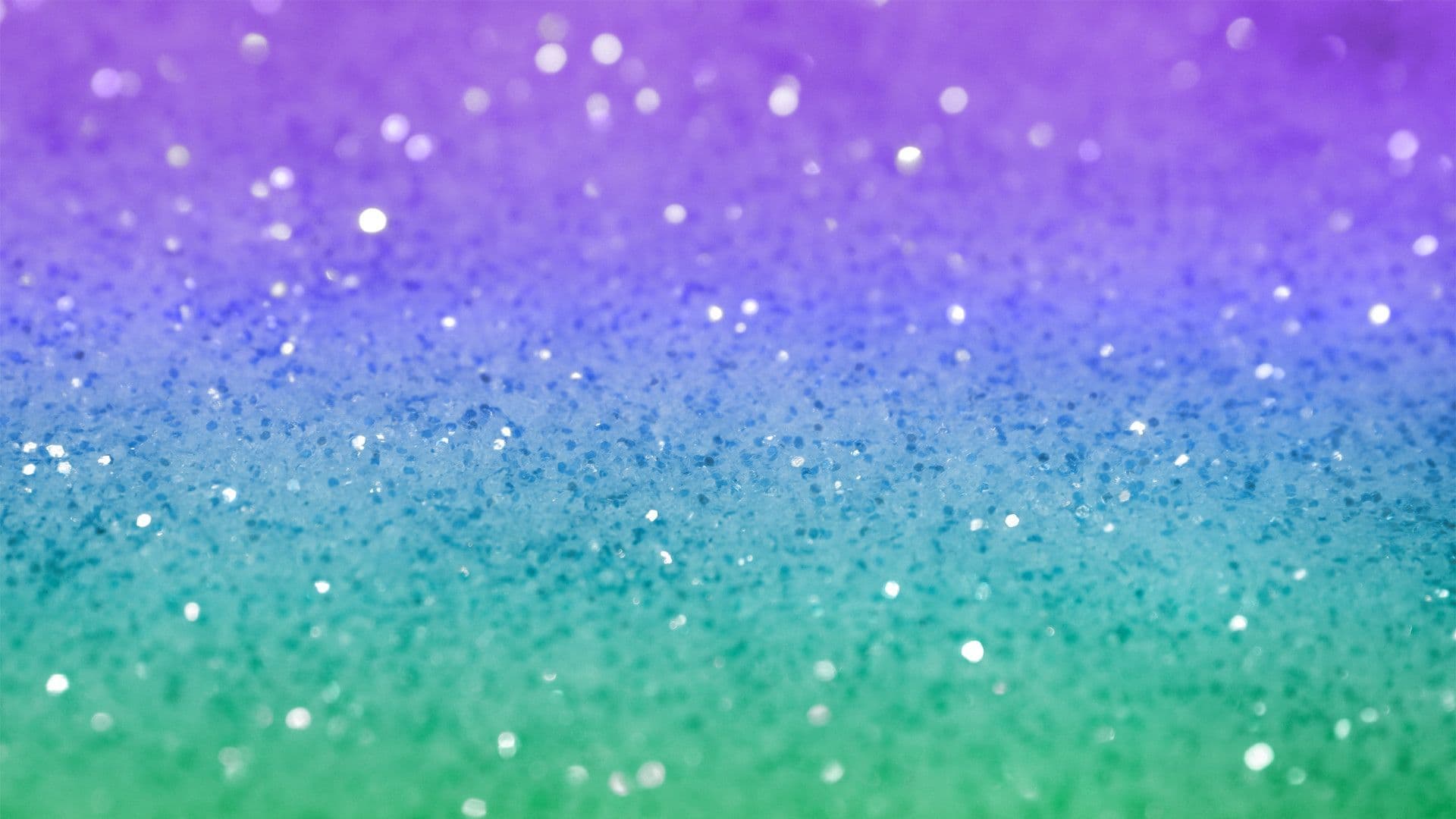 Kitty banner image