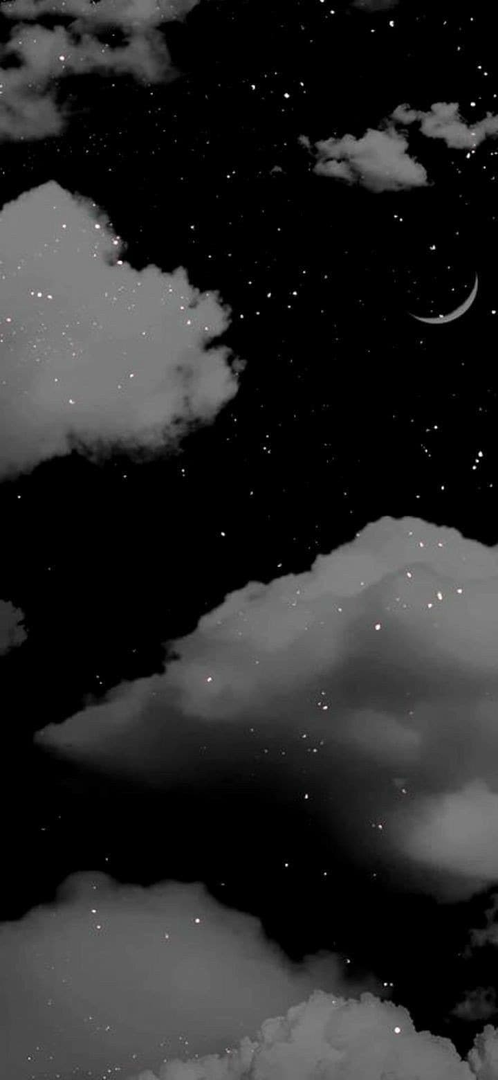 Kelly banner image