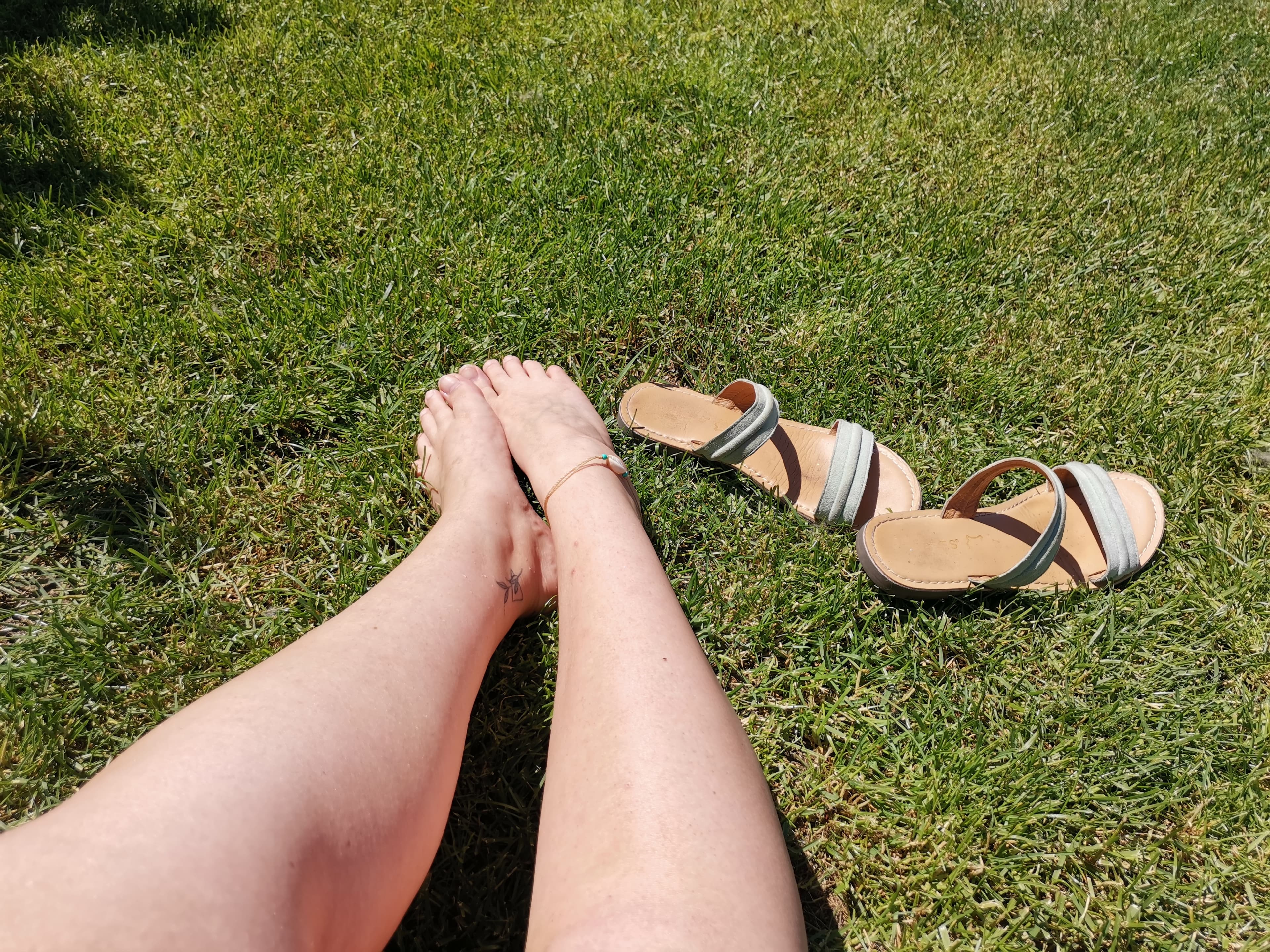 Ten Tiny Toes banner image