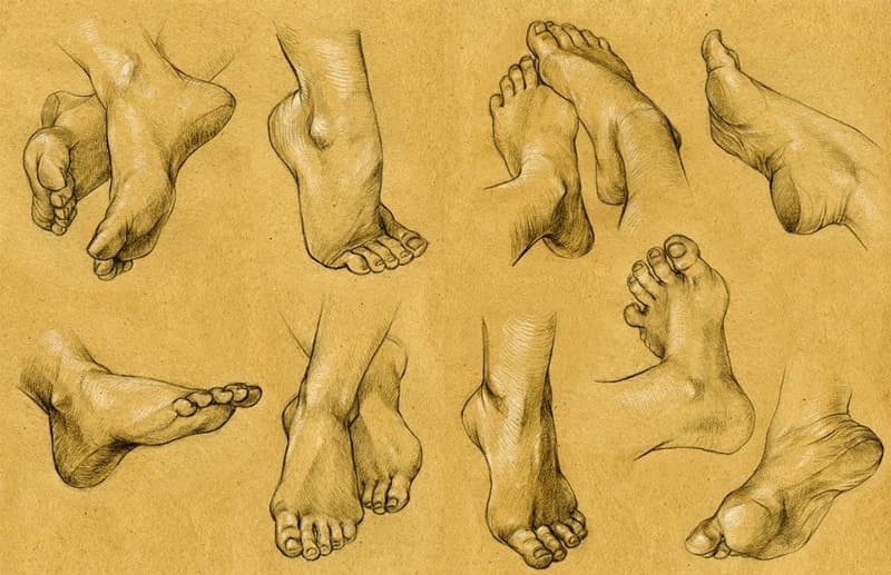 BauschFeet banner image