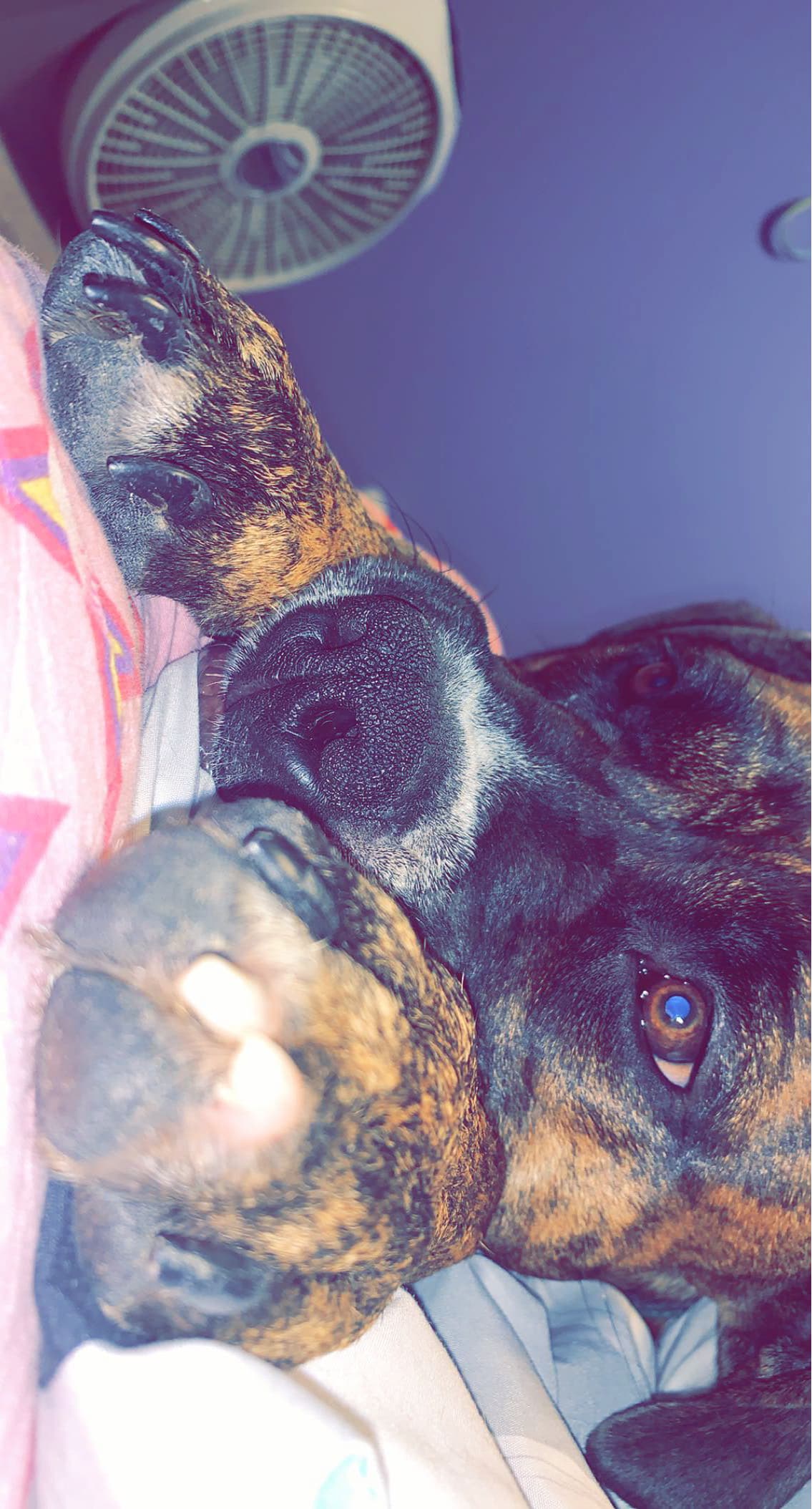 Haley😋 banner image