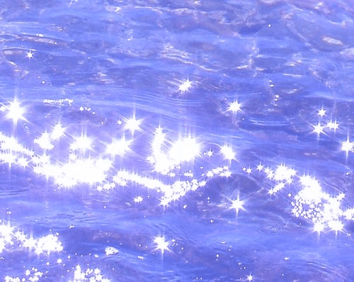 VANITYXXX banner image