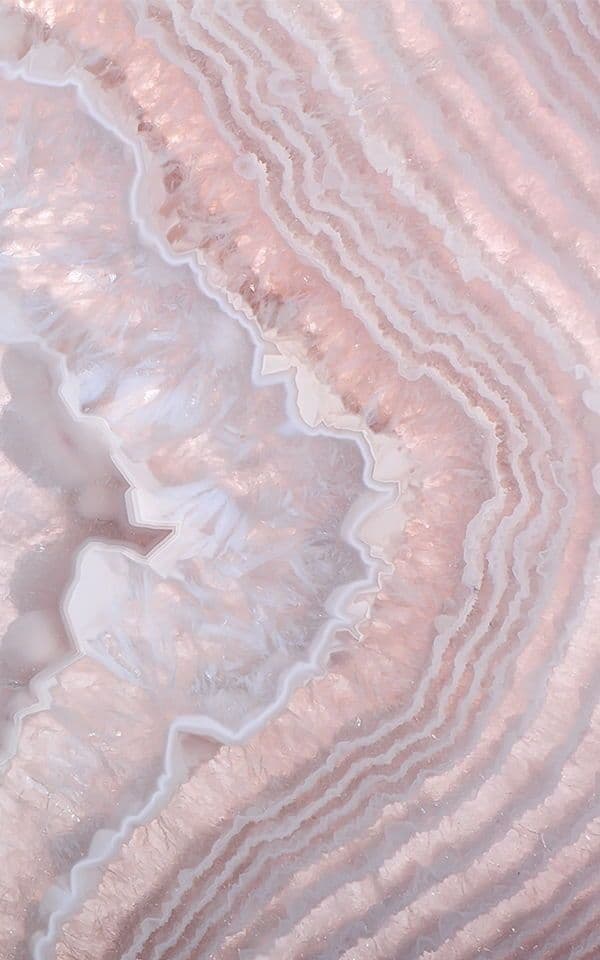 Aggie Agate banner image