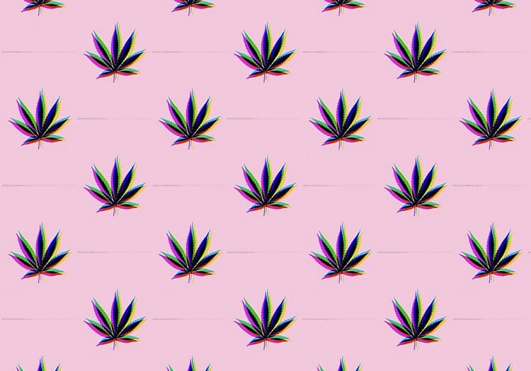 Slim Thick Babey banner image
