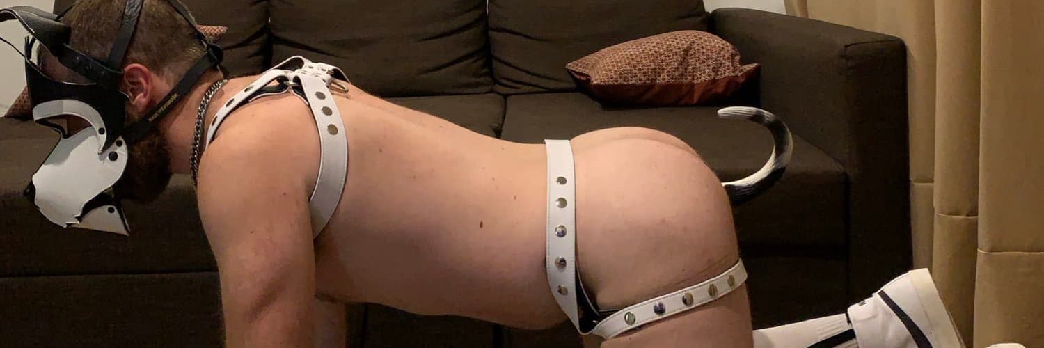 Pup Lex banner image