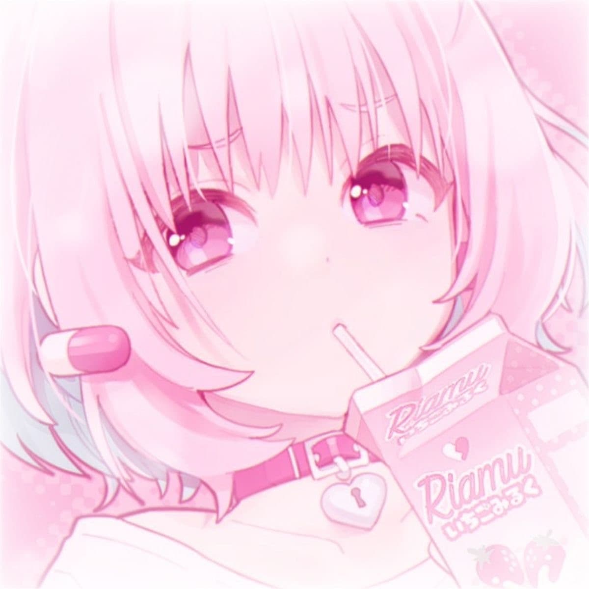 Kitten🌸 banner image