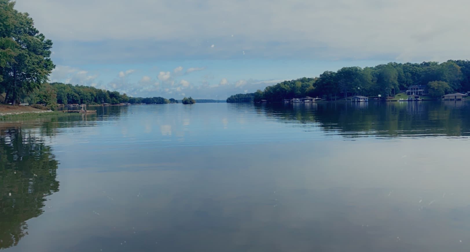 Chocolatee Bunniee 🍫😉 banner image