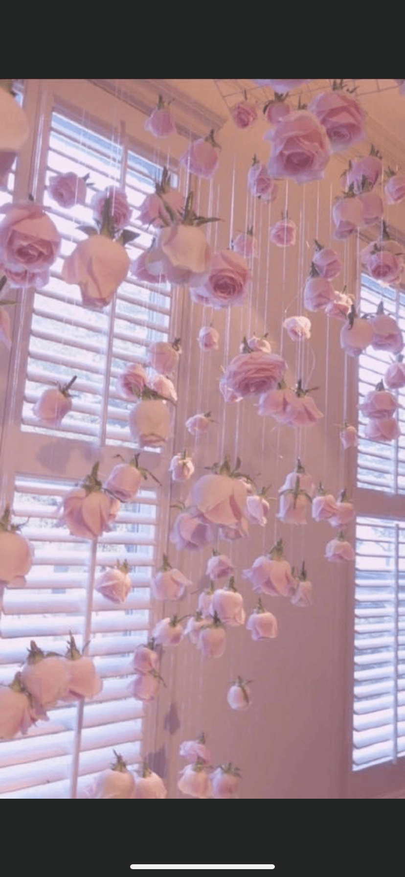 MaryWappins banner image