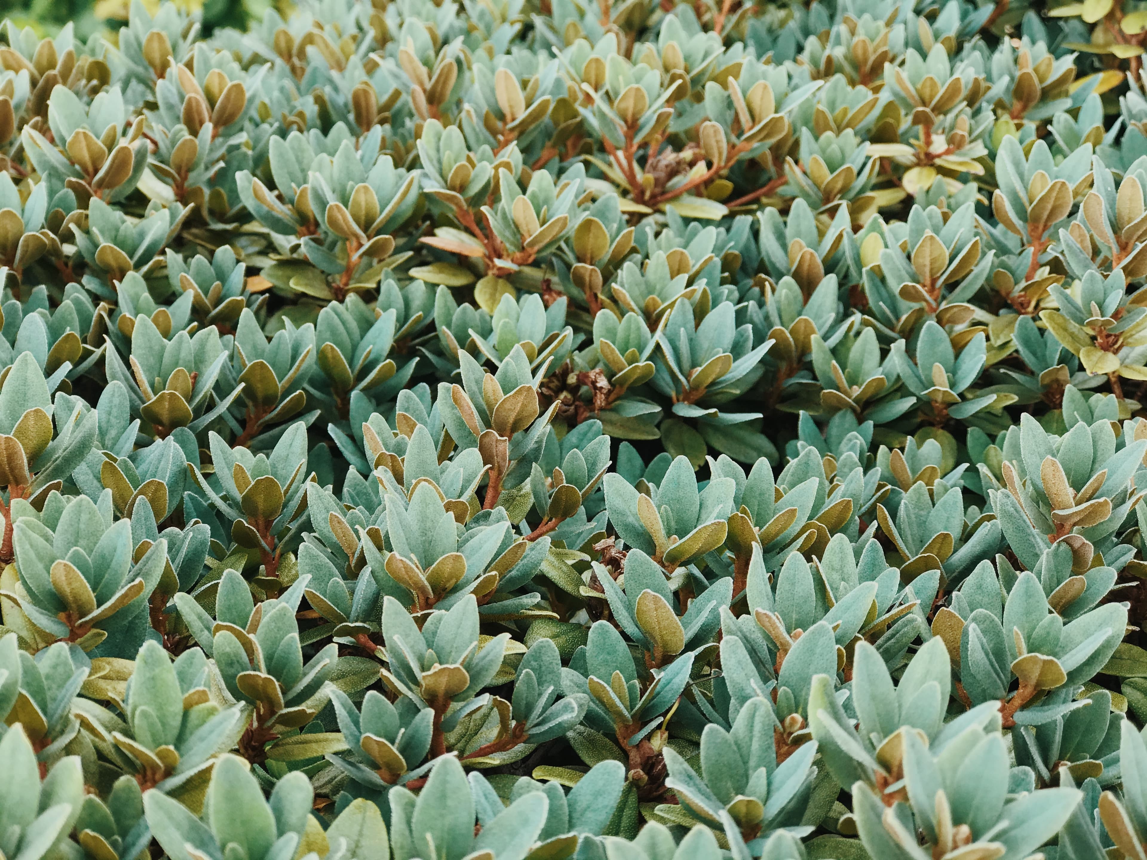 Quinn Finch 🌿 banner image
