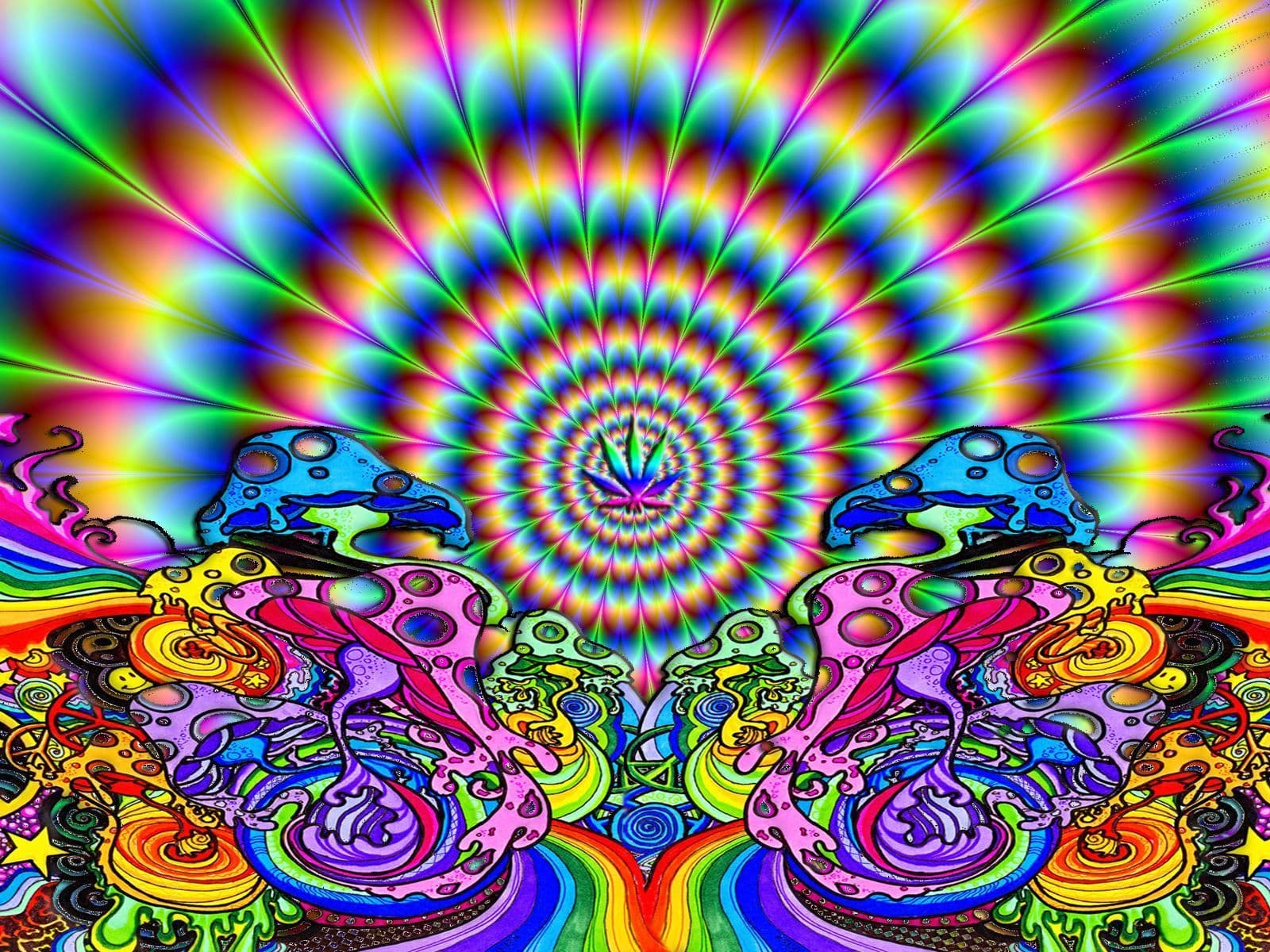 D🌺 banner image