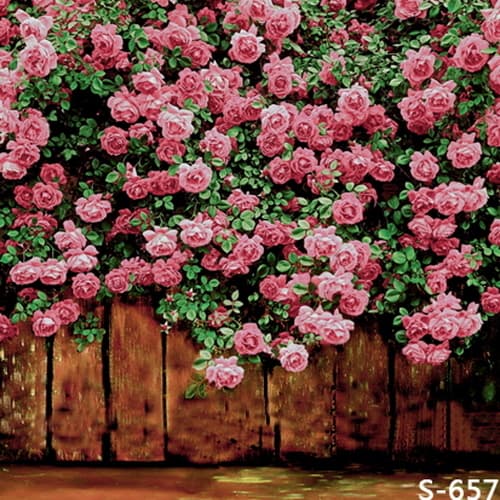 Ali’s Foot Pics🦶🏼🌸 banner image