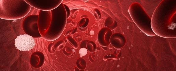 *SweetNurse* banner image
