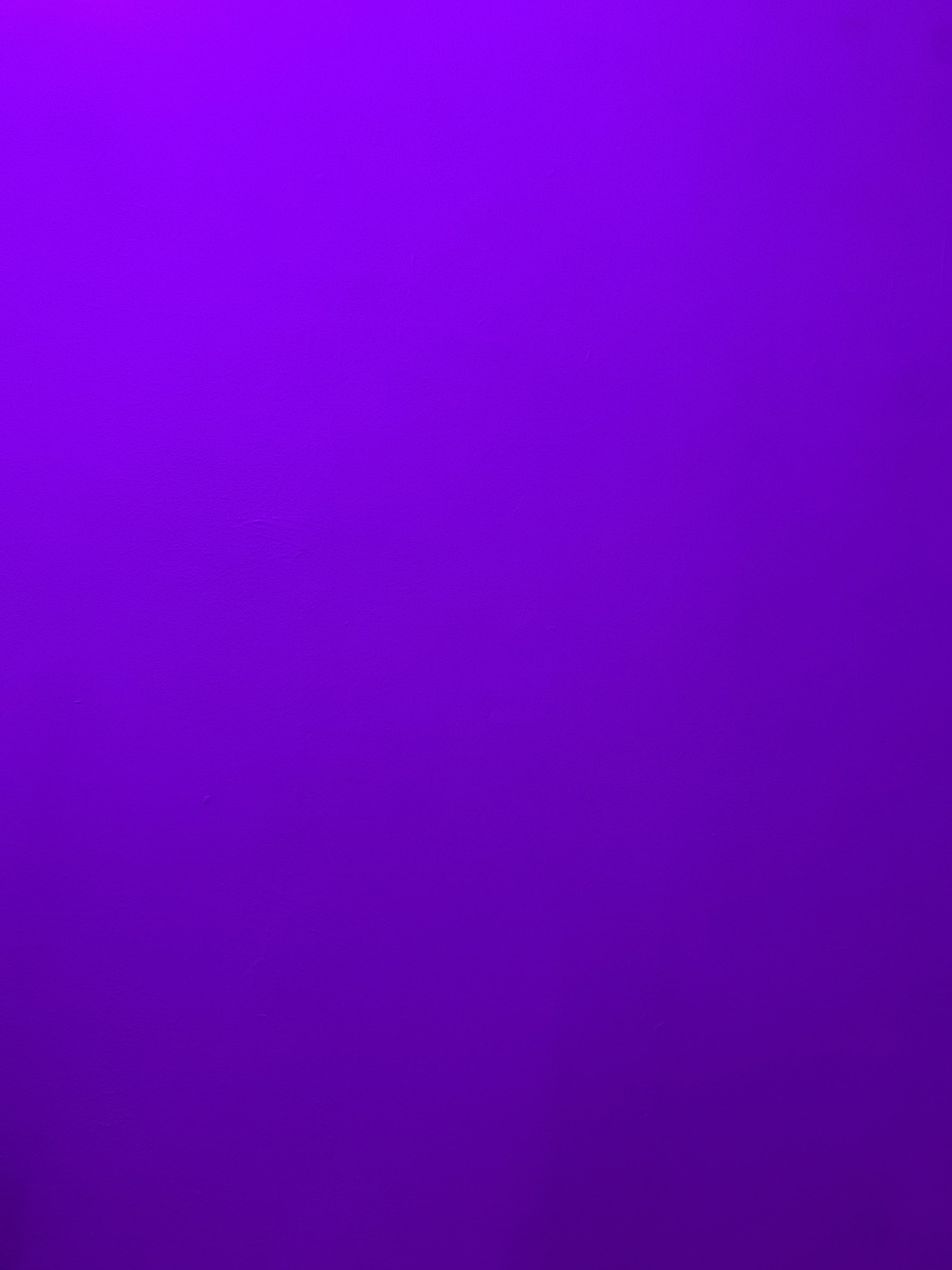 Stella mc banner image