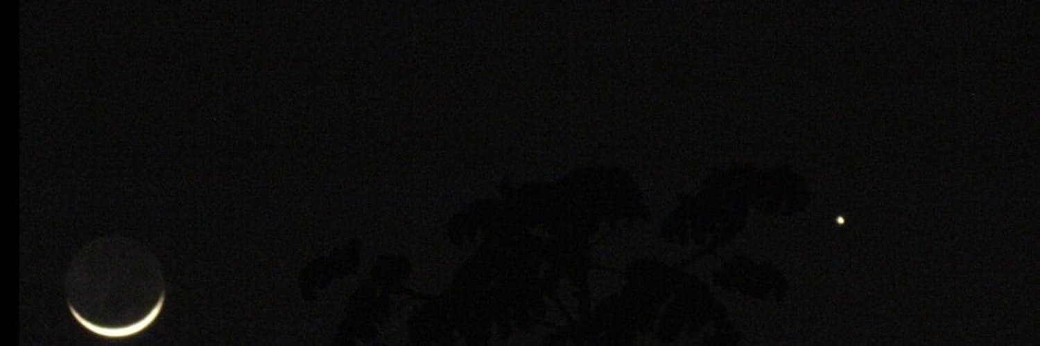 Ramski banner image