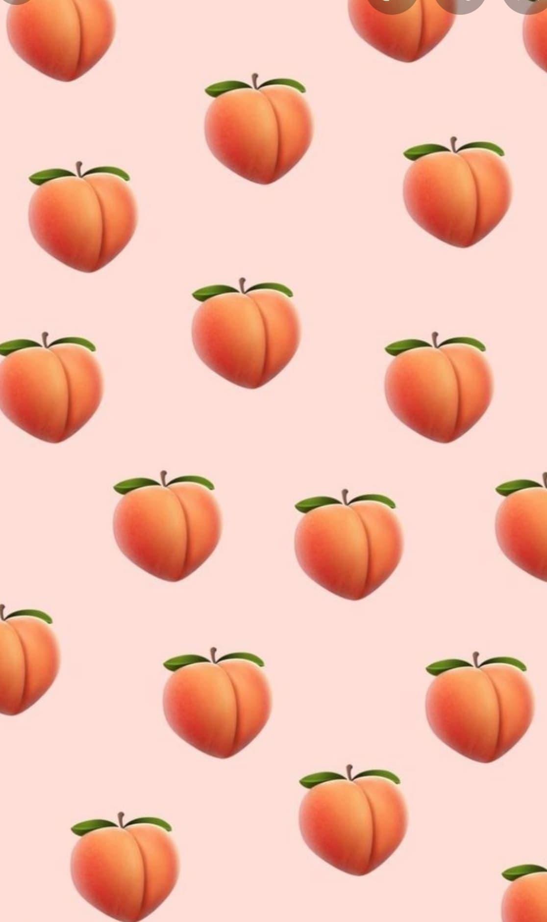 Vix Voluptuous banner image
