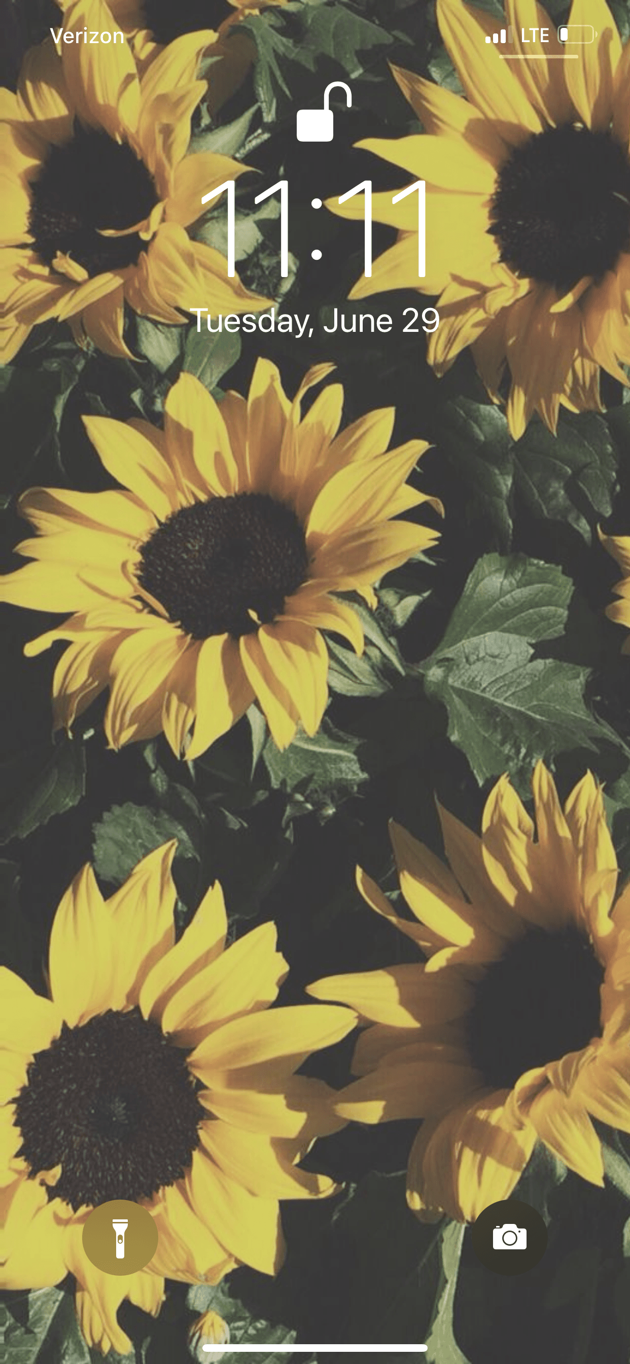 Baby banner image