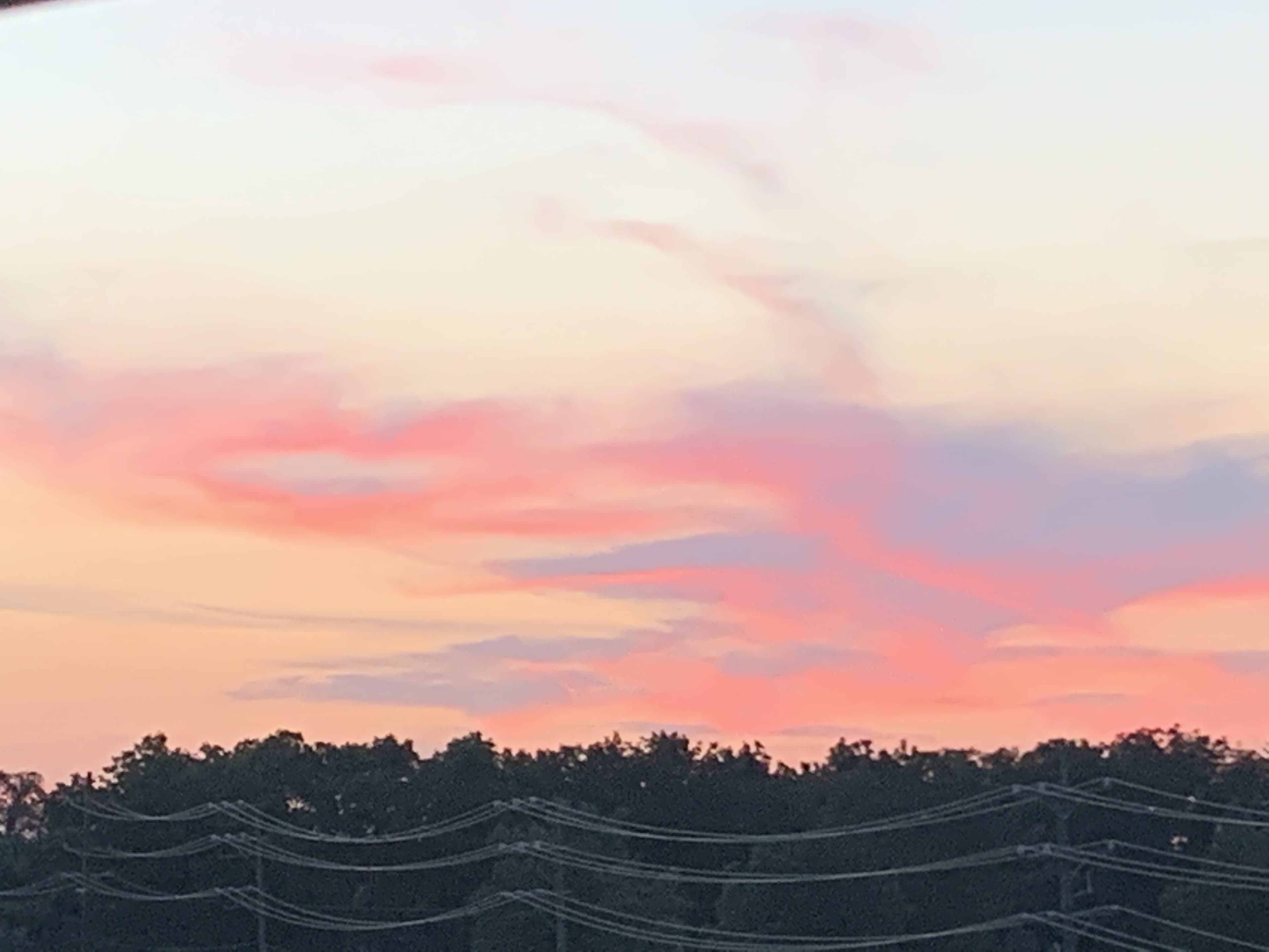 LilMissTroublemaker21 banner image
