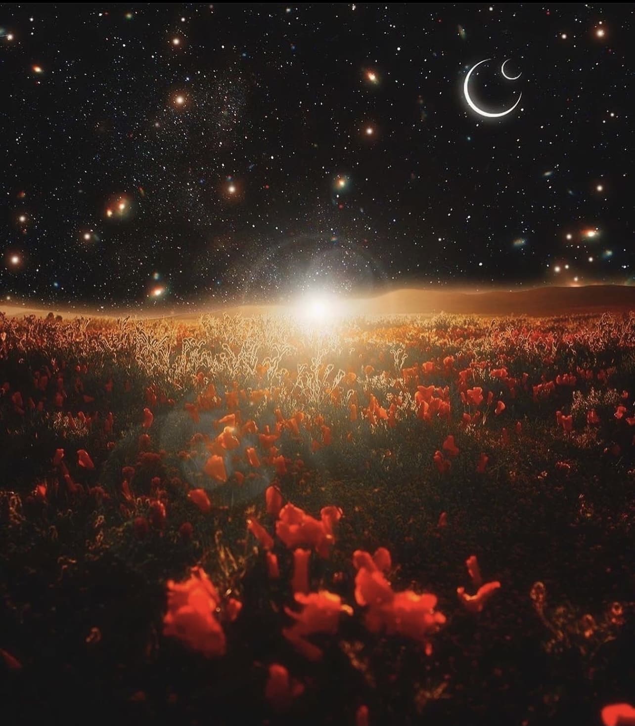 702latino banner image