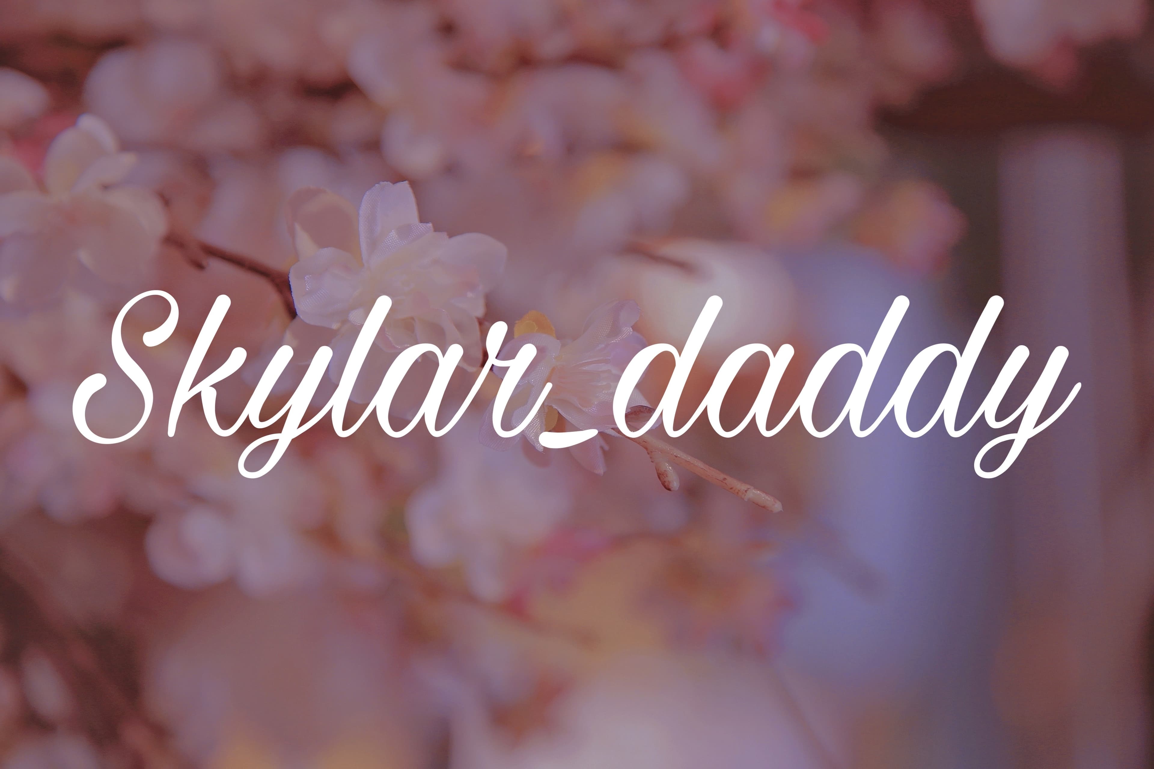 Skyalr banner image