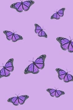 kylie banner image