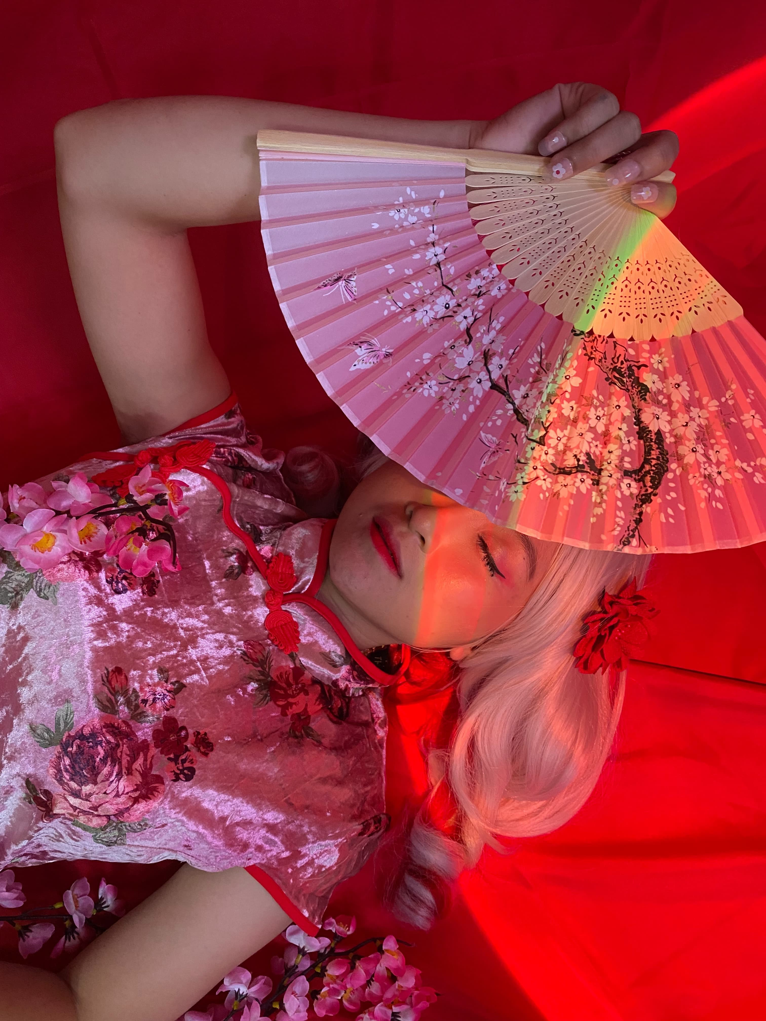 Akari Hime banner image