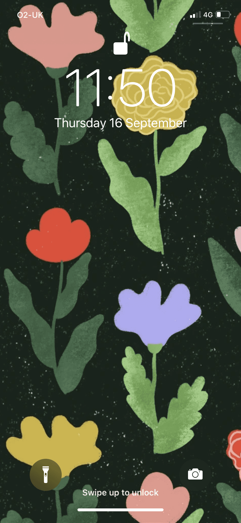 SOFI ~ banner image