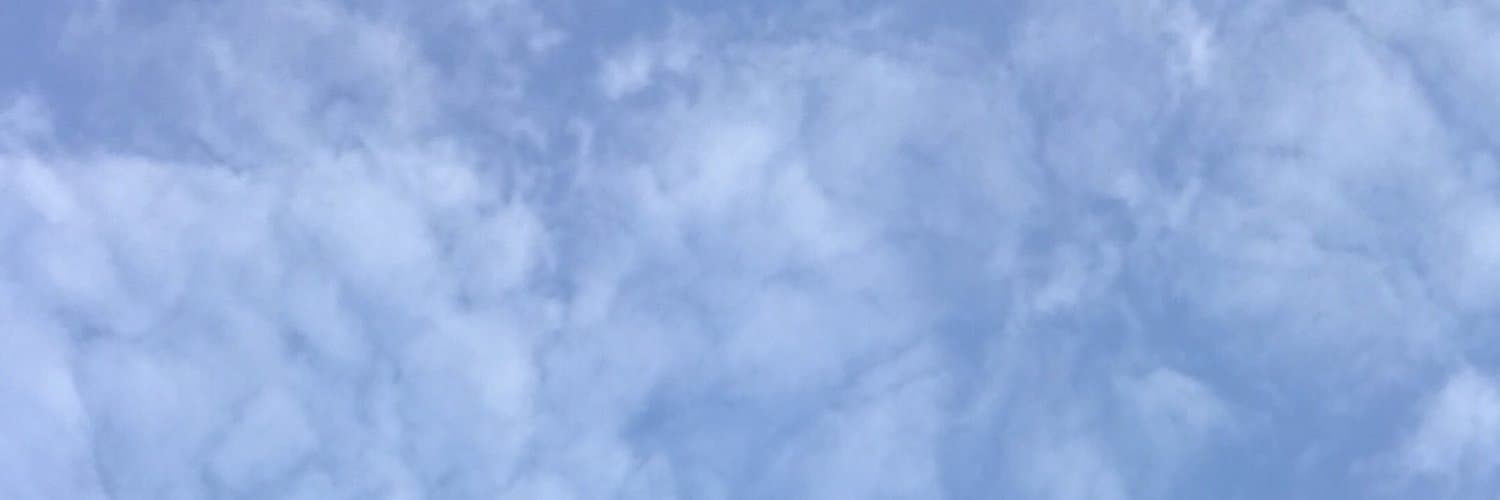elephants banner image