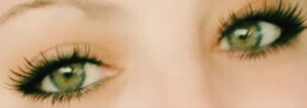 SweetFeetBunny banner image