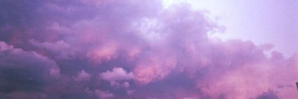 vicky banner image