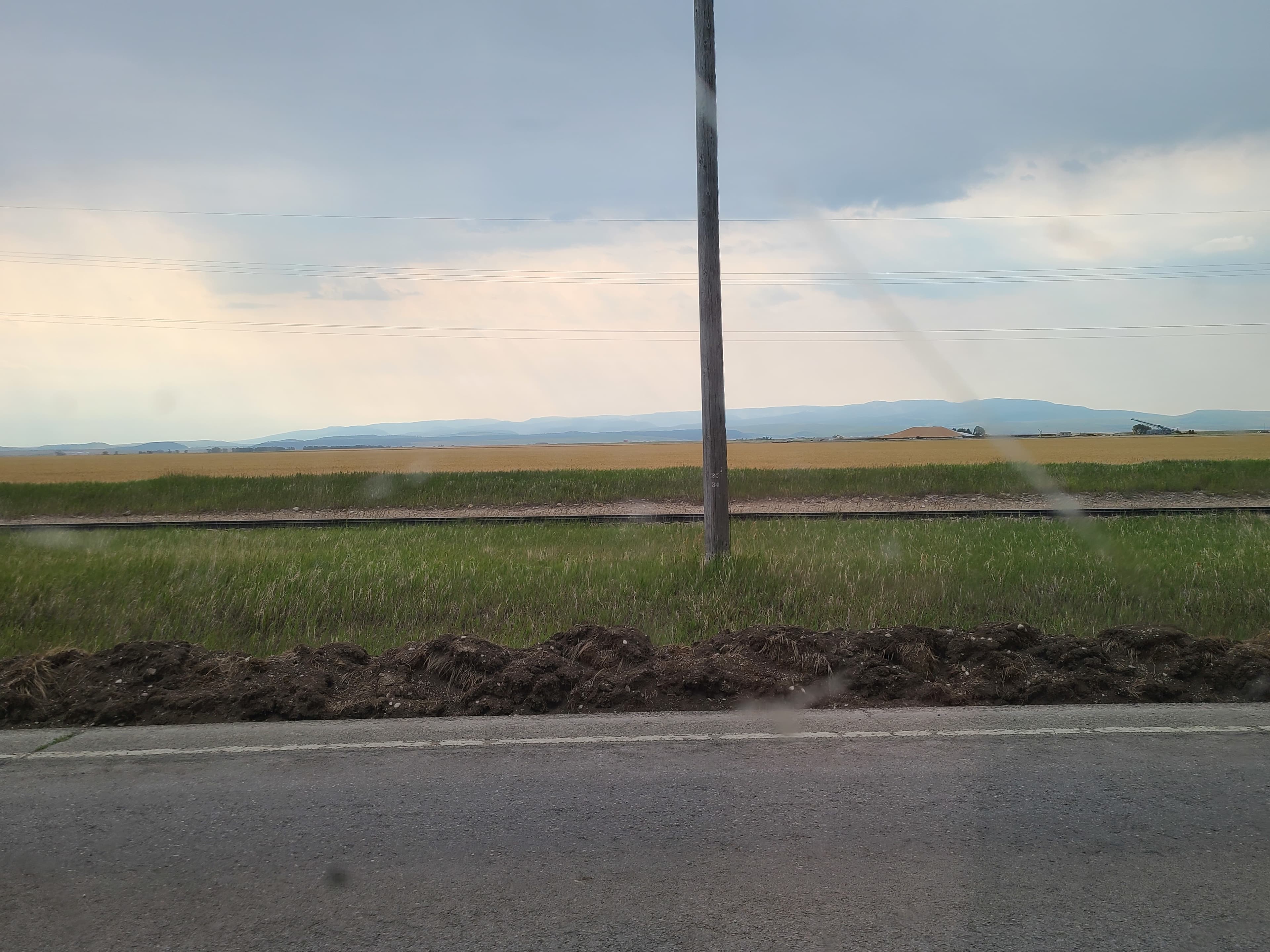 Sue banner image