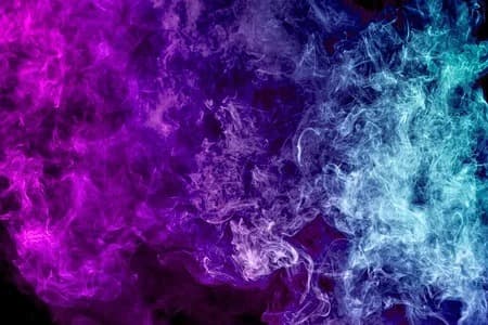 ladyL banner image