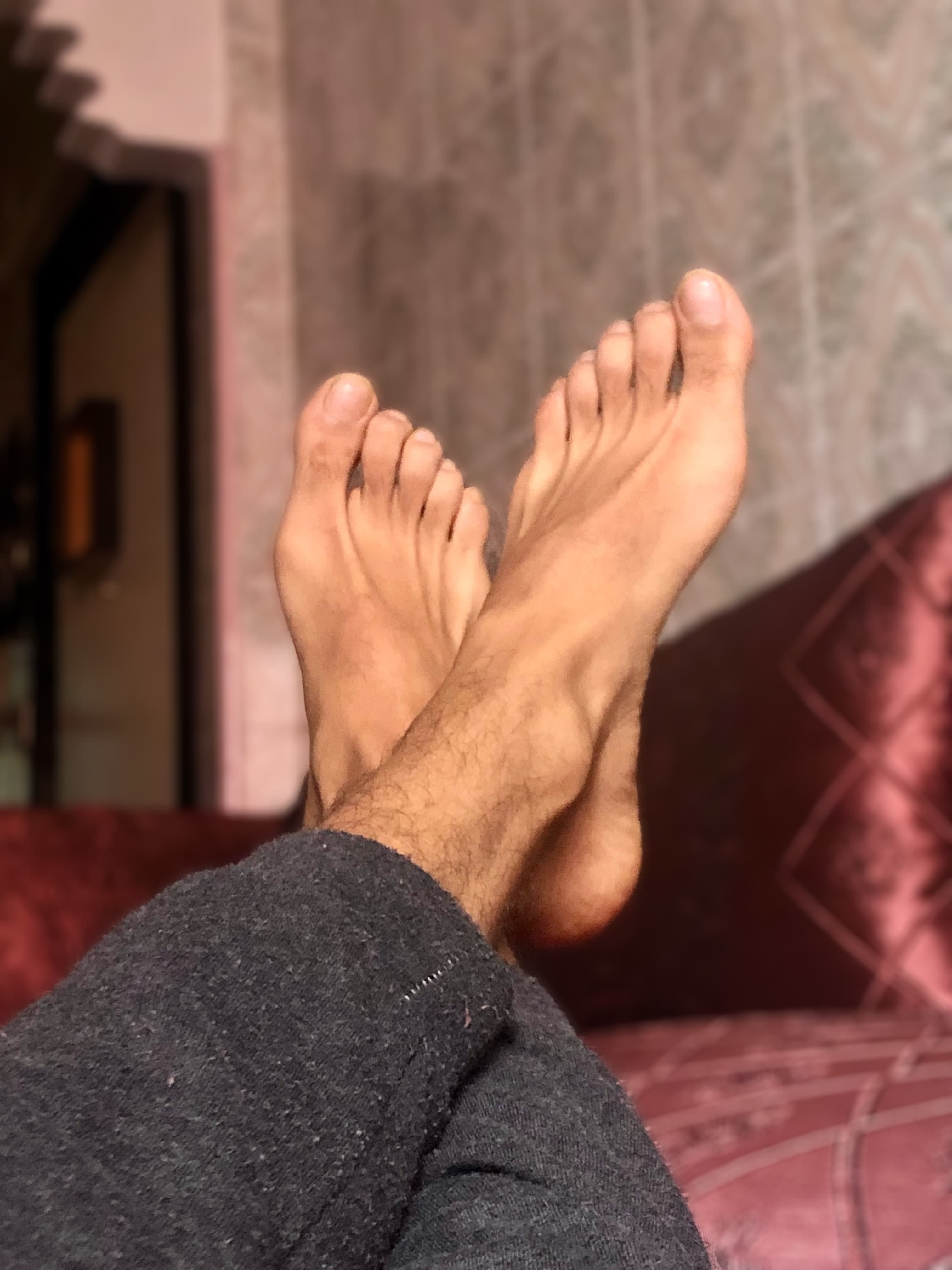 Arabian feet banner image