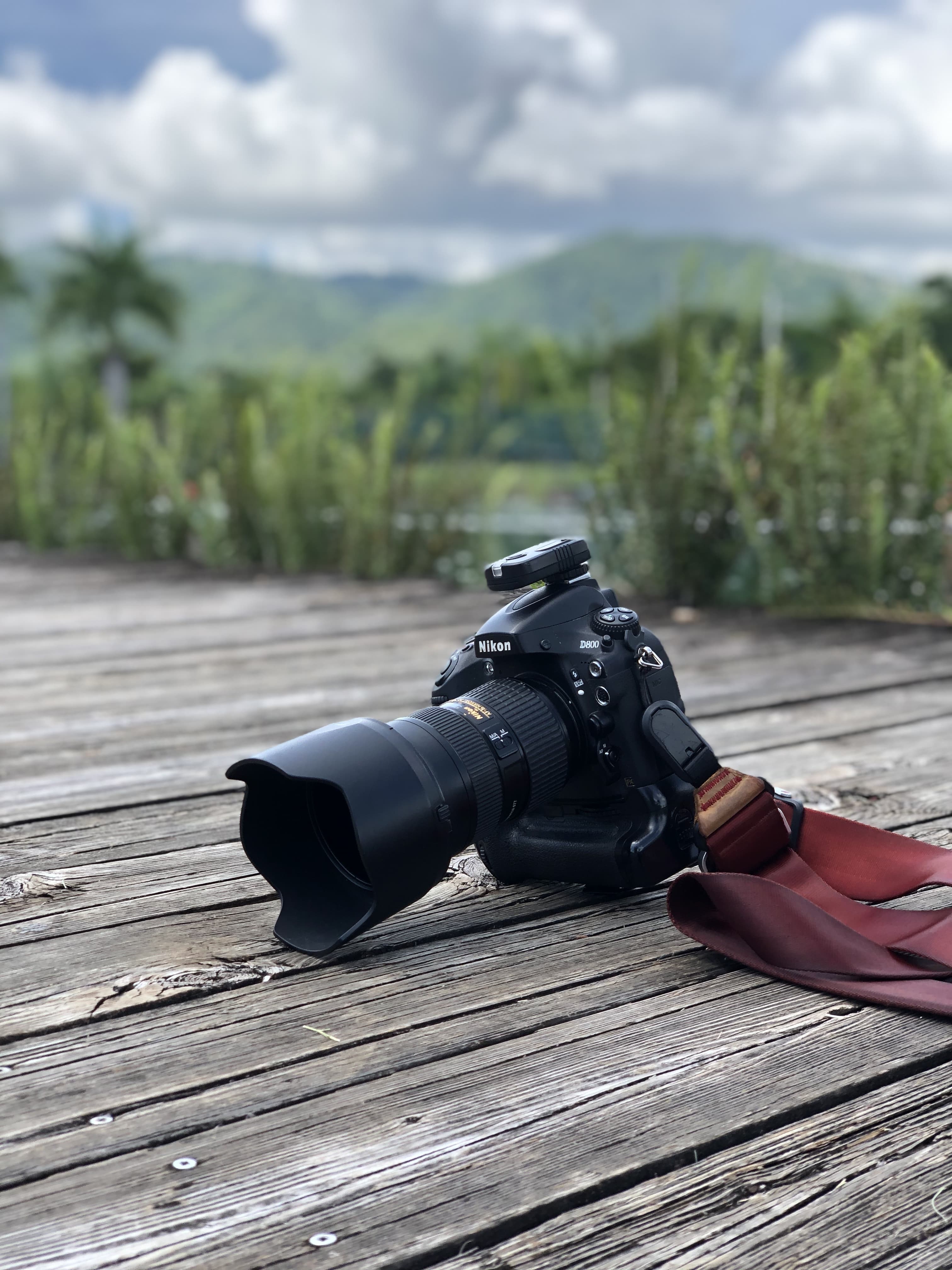 Alexis Vazquez banner image