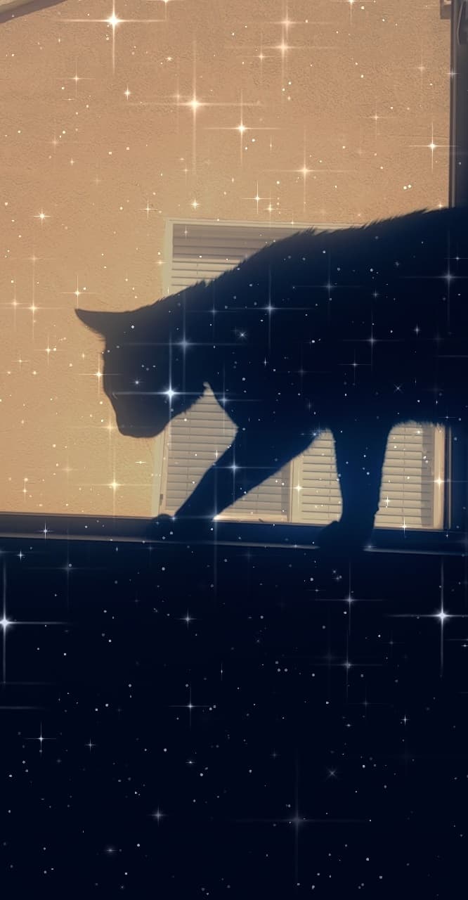 Ray banner image