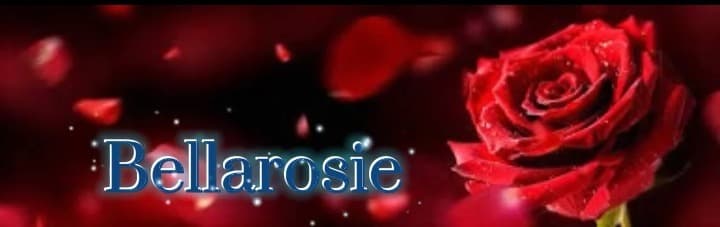 Bellarosie banner image