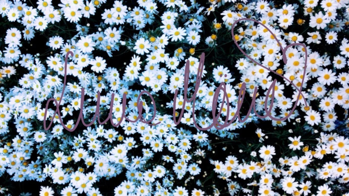 Luna Måne🌸 banner image