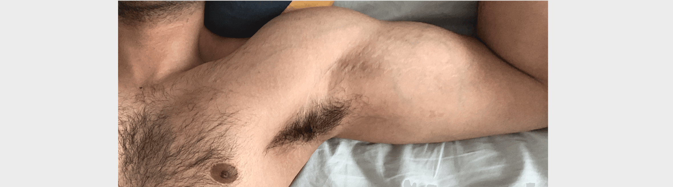 Papa Bear ™ banner image
