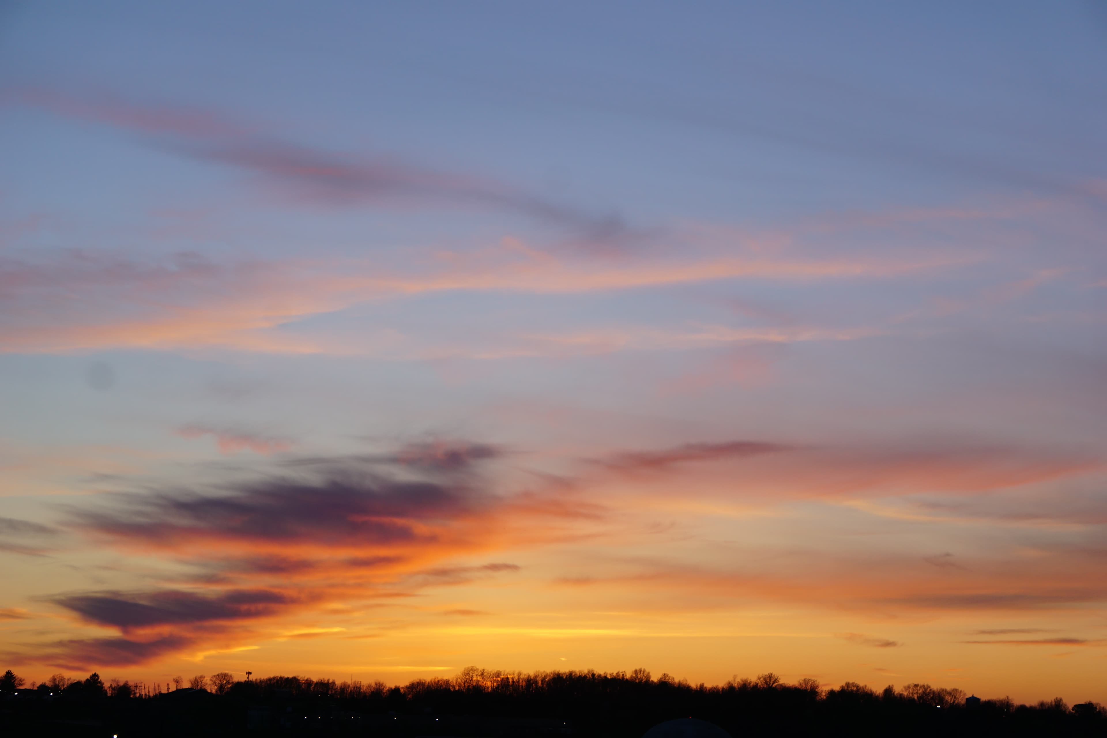 Tyler L Bennett banner image