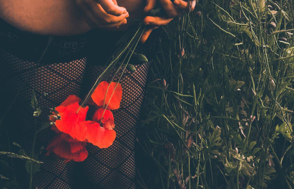 Kelli Luna banner image