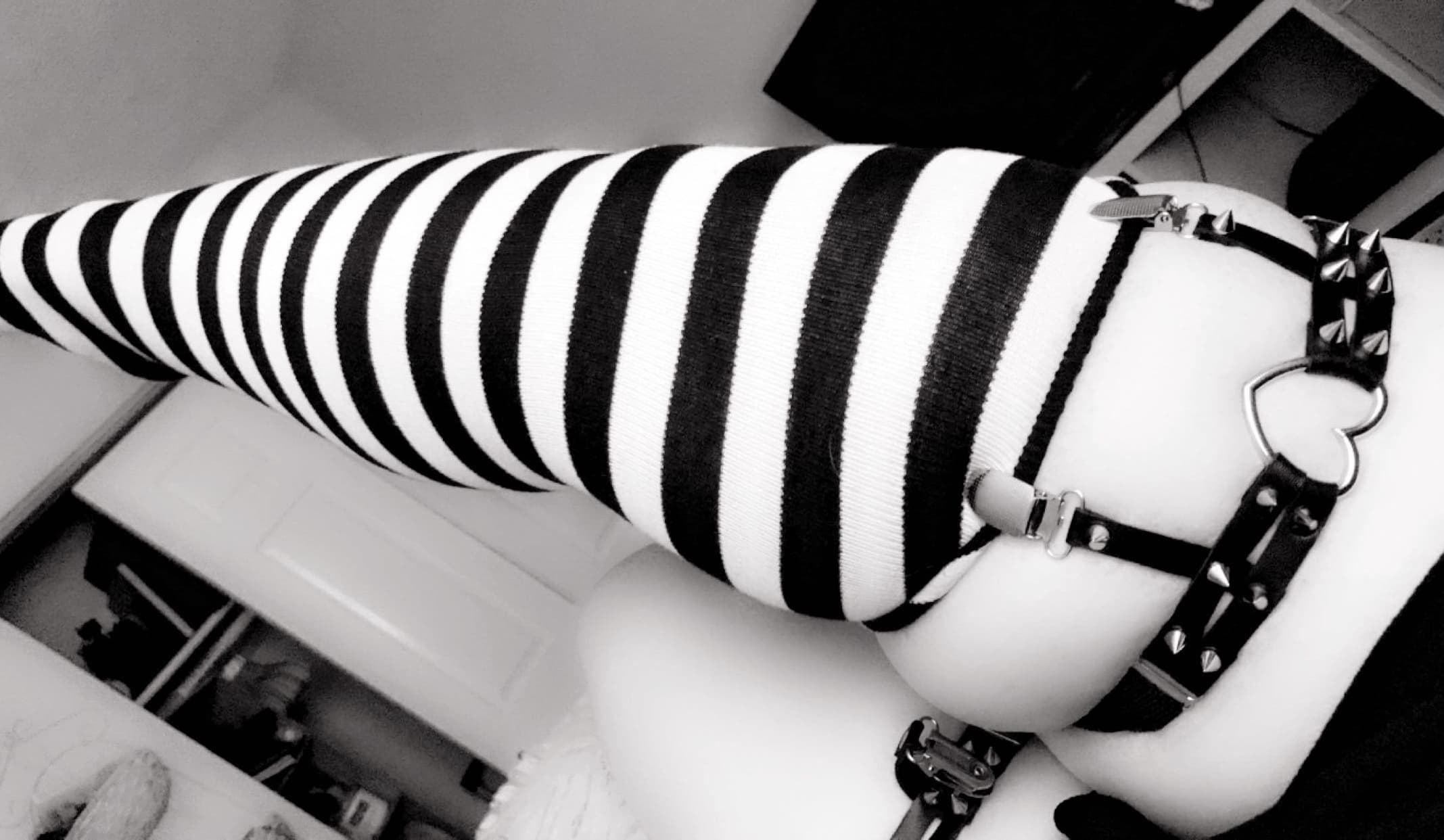 Bunni banner image