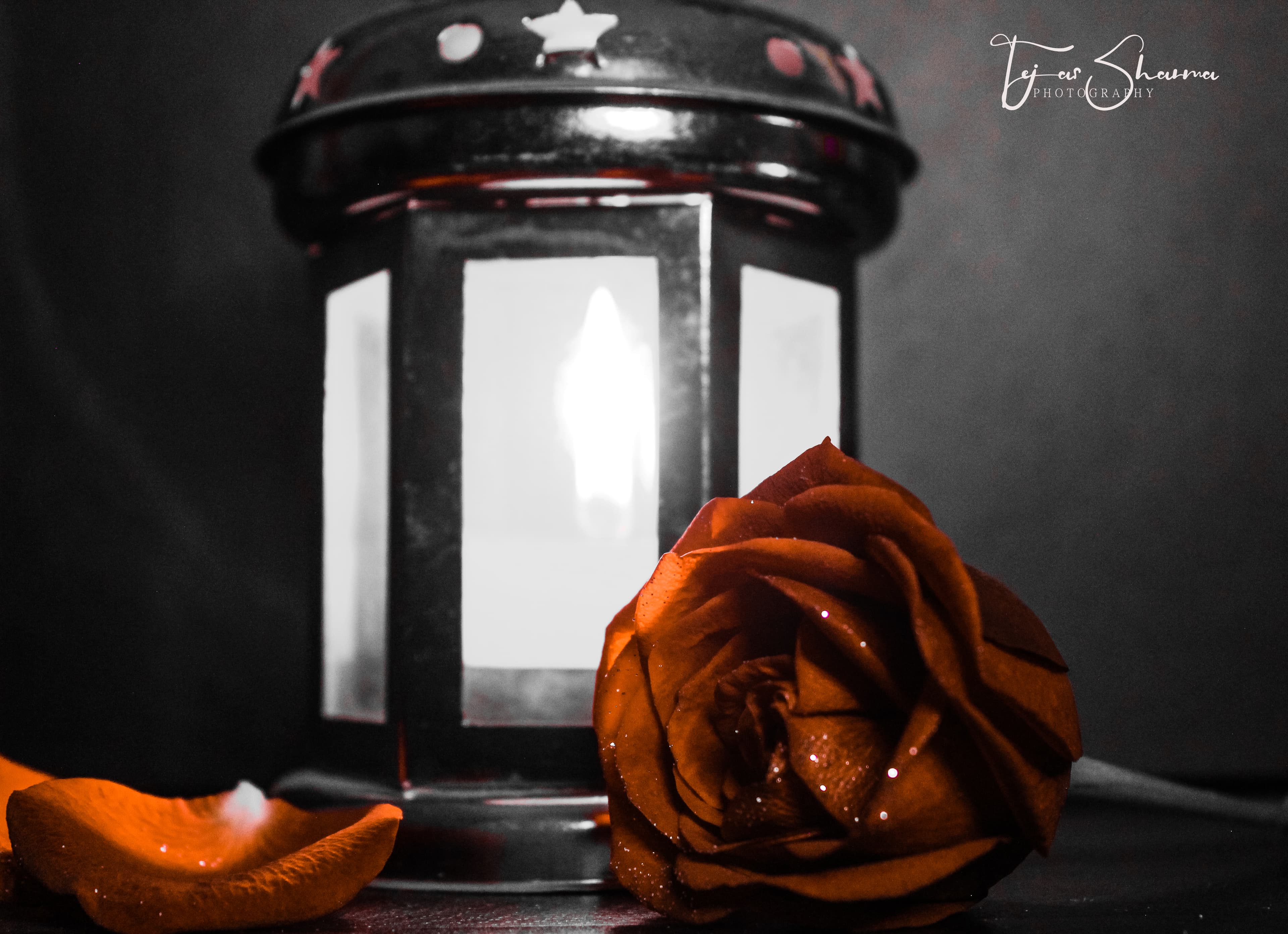 TJ banner image