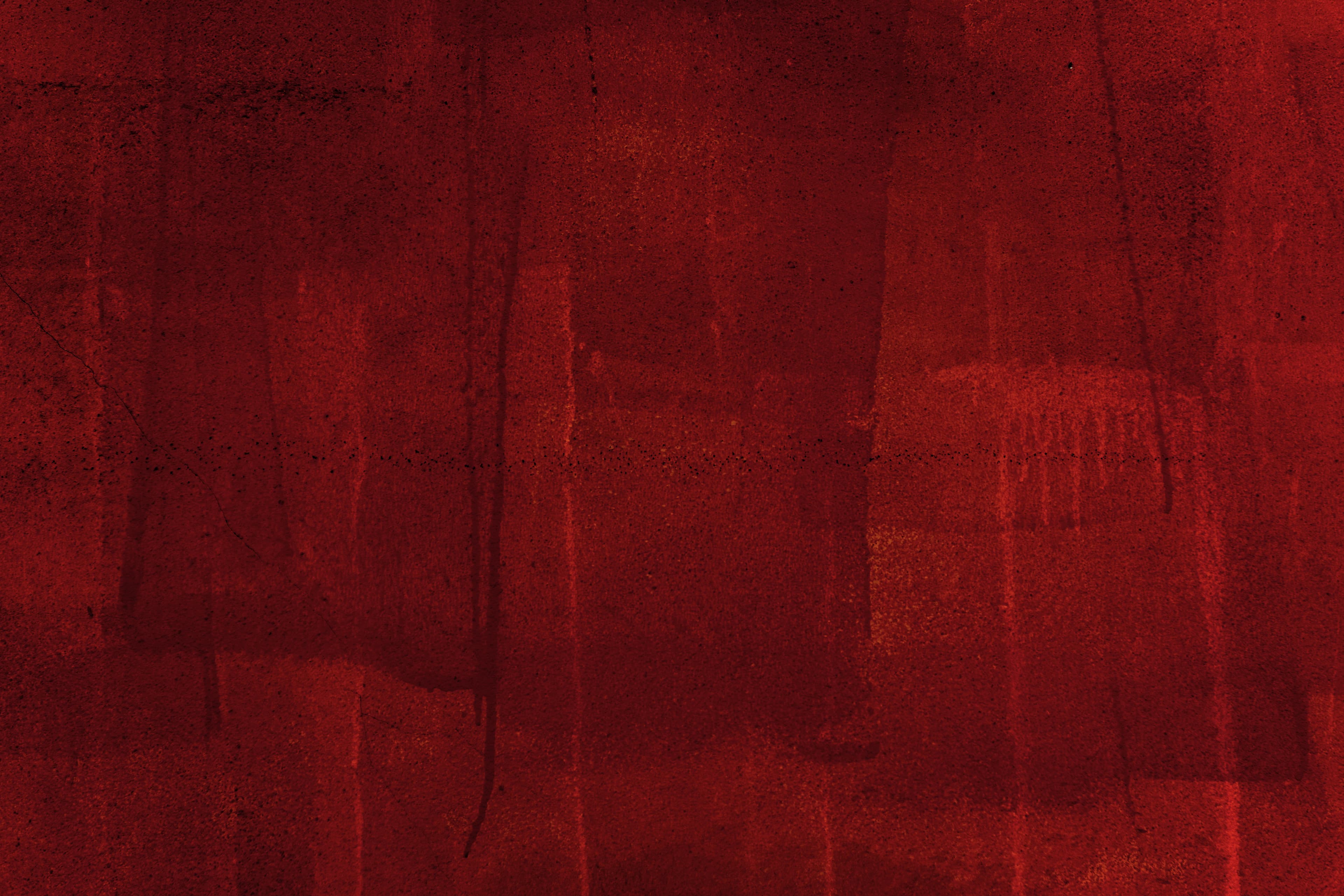 Camila Ochoa banner image
