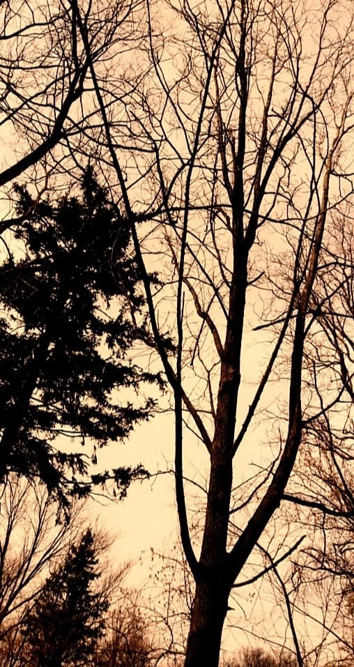 Jd banner image