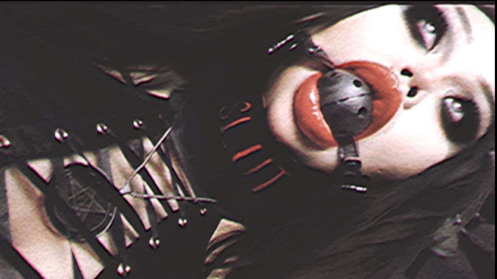 LeileiVon banner image