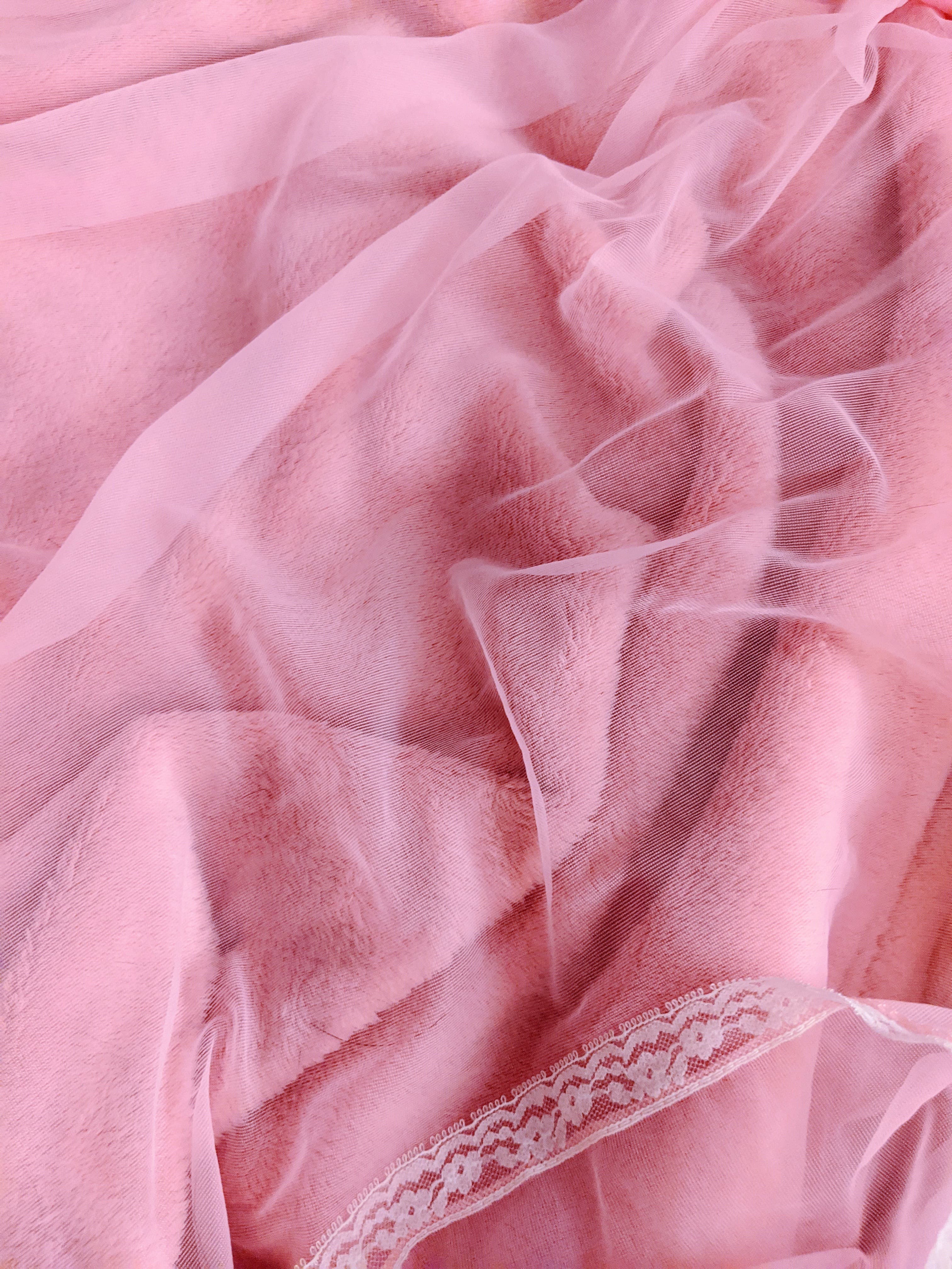 Christi banner image
