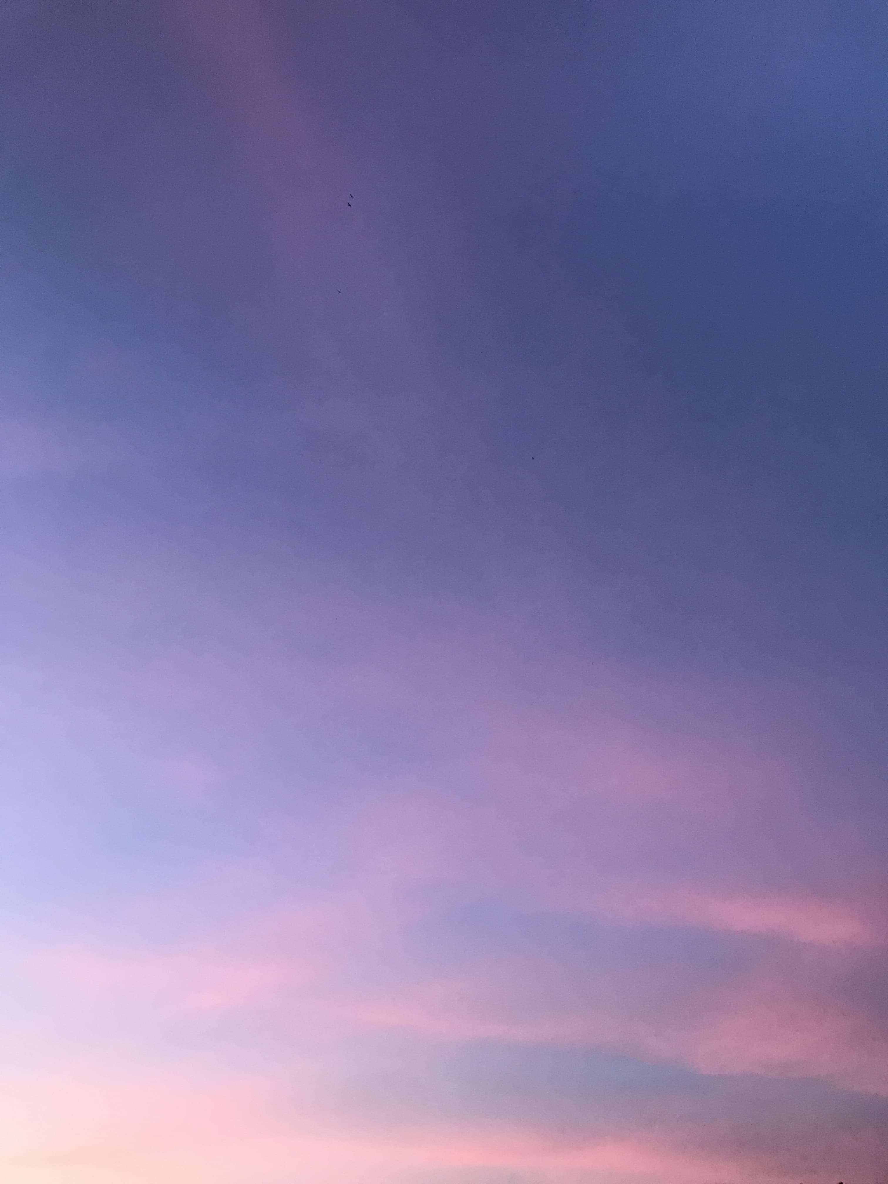 u18543036 banner image