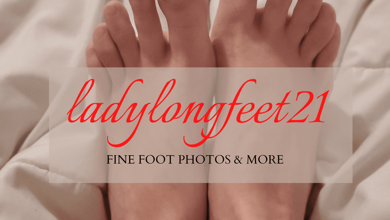 Lady Longfeet banner image