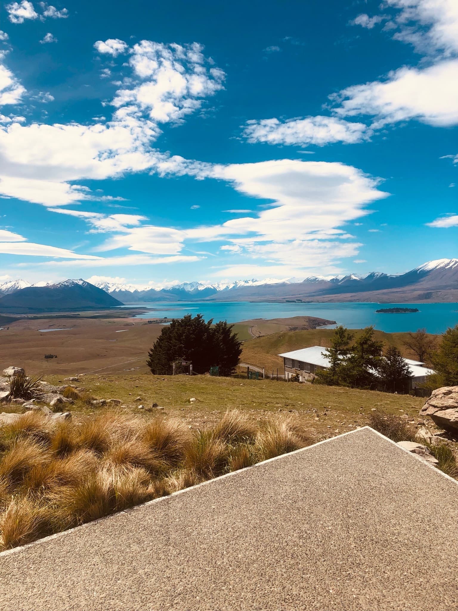 Nzlassxx banner image