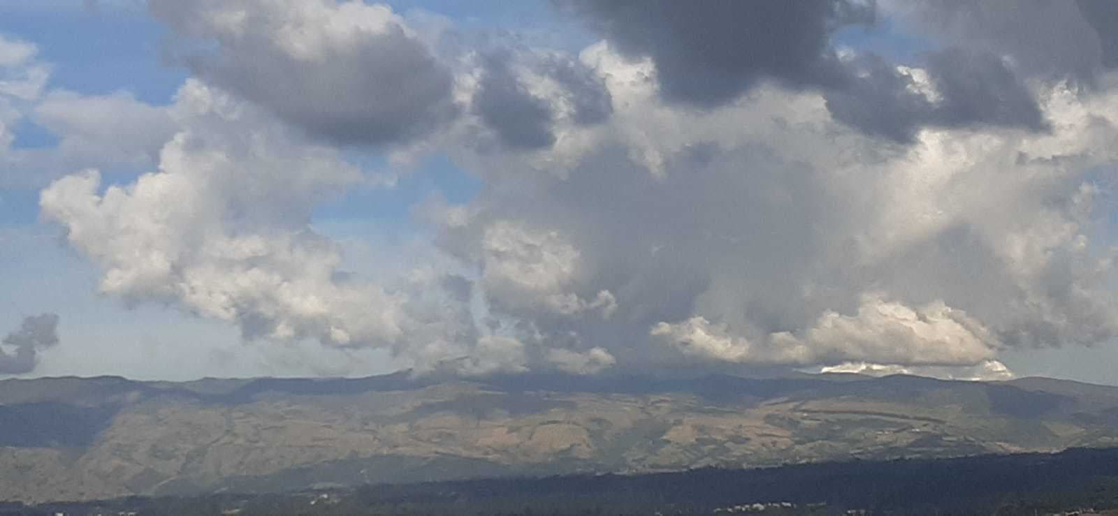 PELINEGRA banner image