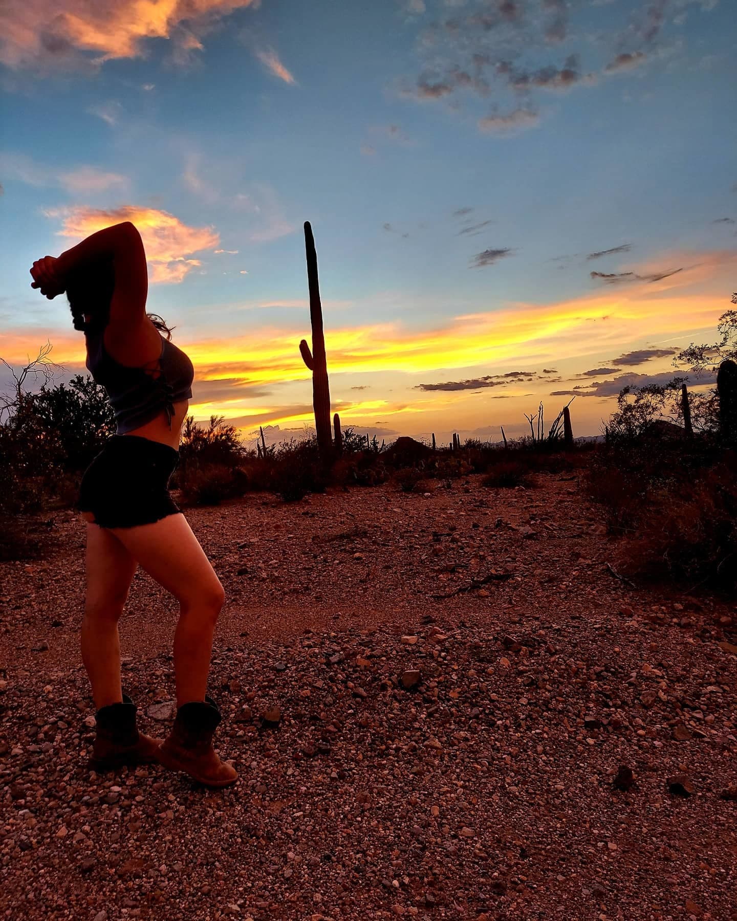 Lily Shay banner image